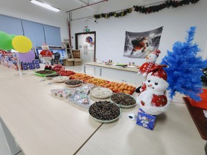 “多國風(fēng)采、別具風(fēng)格”的的圣誕節活動(dòng)